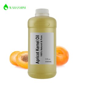 Apricot Kernel Oil Manufacturer - Factory Supply Refined Hot Selling High Quality Pure