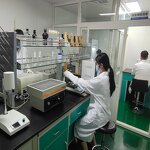 Methyl Eugenol Essential Oil Manufacturer - Wholesale Bulk Price CAS 97-53-0 Pure Therapeutic