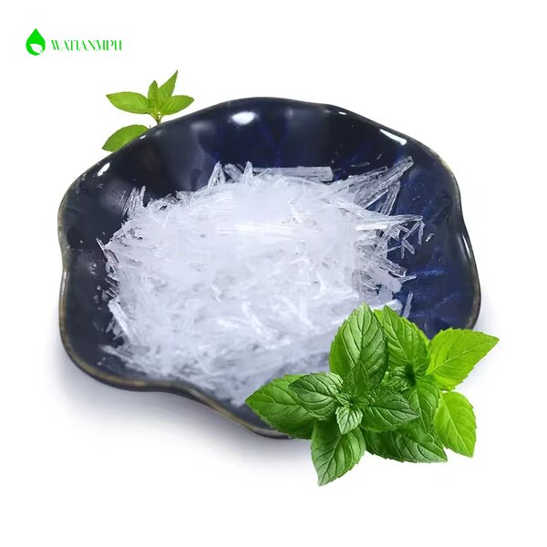 Menthol Powder Supplier - Wholesale Food Grade Top Grade Natural 99.9% Pure Crystal Mint