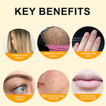 Black Castor Oil Factory - Private Label Pure Organic Cold-Pressed