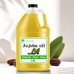 Carrier Oil Manufacturer - Wholesale Bulk Organic Almond Jojoba Grapeseed Argan