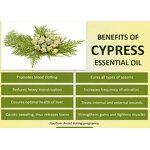 Hinoki Essential Oil Manufacturer - Bulk Wholesale 100% Pure Natural Cypress Oil Price