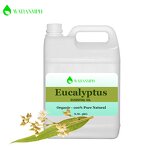 Car Air Essential Oil Factory - Wholesale 100% Pure Natural Hotel Scent Eucalyptus Globulus