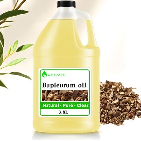 Bupleurum Oil Supplier - Cold Pressed Pure Organic for Body Care Daily Use