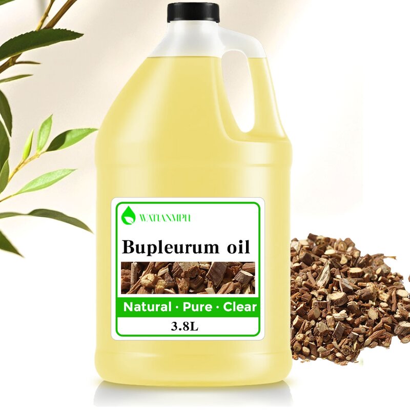 Bupleurum Oil Supplier - Cold Pressed Pure Organic for Body Care Daily Use