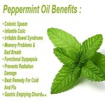 Peppermint Oil Supplier - Wholesale Bulk Price Organic 100% Pure Natural for Cosmetics Massage