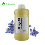 Borage Seed Oil Manufacturer - Pure Cold Pressed Bulk OEM Carrier Oil for Skin Care