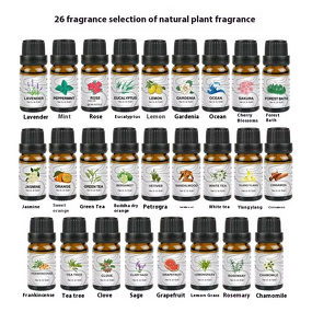 Aromatherapy Oil Set Supplier - 100% Pure Organic 10ml Pure Essential Oil Set for Diffuser