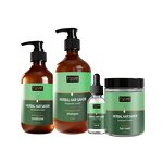 Rosemary Shampoo Supplier - Oil Control for Oily Weak Hair Deep Clean
