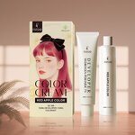 Apple Hair Dye Kit Manufacturer - Herbal Semi-Permanent Ammonia-Free Cream