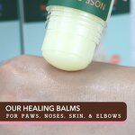 Pet Balm Supplier - 30g with Vitamin E Shea Butter for Dogs Cats