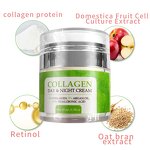 Collagen Cream Supplier - Private Label Day Night Lightening Anti-wrinkle