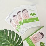Facial Mask Manufacturer - Wholesale Green Tea Moisturizing Nourishing