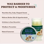 Pet Balm Supplier - Nourishing with Vitamin E Shea Butter Coconut