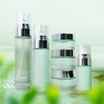 Skin Care Set Supplier - Herbal Witch Hazel Korean Vitamin C