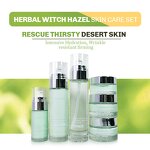 Skin Care Set Supplier - Herbal Witch Hazel Korean Vitamin C