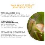 Skin Care Kit Supplier - Private Label Snail Barrier Repair Cream Set