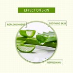 Facial Mask Supplier - Wholesale 25ml Aloe Vera Soothing Mask