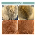 Pet Shower Gel Supplier - Natural 2-in-1 for Soothing Skin Glossy