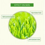 Facial Mask Manufacturer - Wholesale Green Tea Moisturizing Nourishing