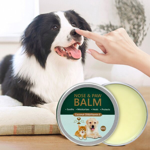 Pet Balm Manufacturer - Moisturizing with Argan Avocado Oil Repair