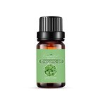 Oregano Essential Oil Factory - Bulk Discount Pure Steam Distillation for Massage Skin Care