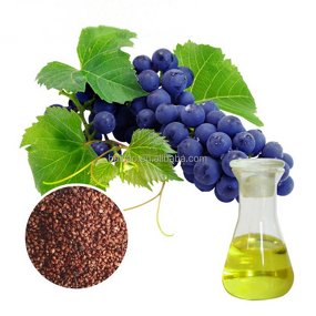 Grape Seed Oil Manufacturer - Bulk Price 100% Pure Natural Organic Cold Pressed for Body Skin