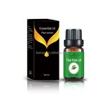 Tea Tree Essential Oil Supplier - Wholesale Private Label Anti-inflammatory for All Skin Scalp