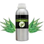 Eucalyptus Essential Oil Manufacturer - Supply 100% Pure Natural Fresh Bulk Wholesale for Aromatherapy