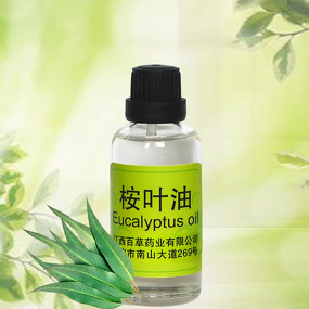 Eucalyptus Oil Factory - High Quality for Aromatherapy Perfume Shampoo Cologne Air Freshener
