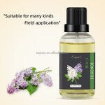 Eugenol Supplier - Essential Oils Wholesale Bulk Therapeutic Grade 99.9% Purity for Topical