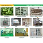 Peppermint Essential Oil Manufacturer - 100% Nature for Cosmetic Skin and Hair Care