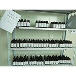 Hemp Seed Oil Manufacturer - Pure Natural Carrier Oil Cold Pressed for Body Massage Omega-3