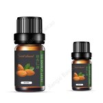 Sweet Almond Oil Supplier - Wholesale Price Extra Virgin for Aroma Diffusion Cosmetic Use