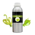 Camphor Essential Oil Factory - Factory Priced Premium Quality 100ML Natural Pure Baicao for All