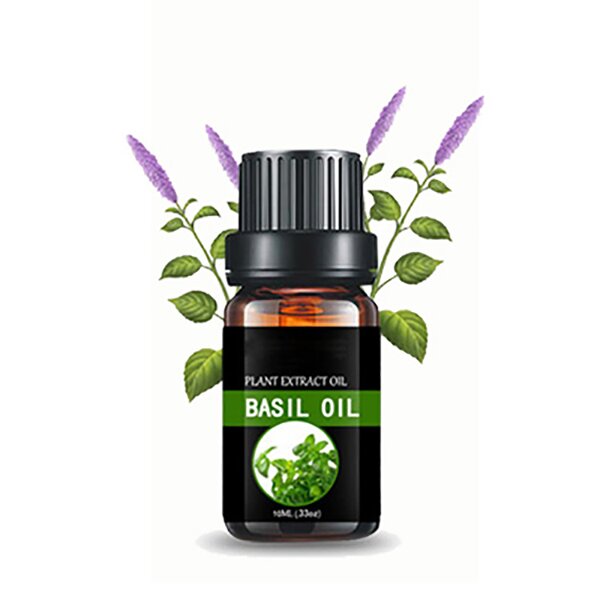Clove Basil Oil Manufacturer - 100% Pure Natural for Skin Teeth Health Care Eugenol Wholesale