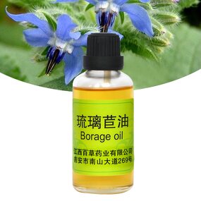Borage Seed Essential Oil Supplier - High Demand High Quality Fresh Odor for Dry Skin Care Wholesale