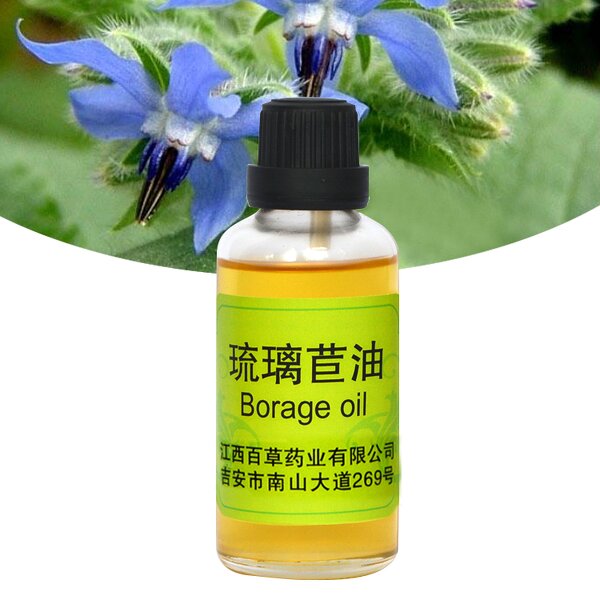 Borage Seed Essential Oil Supplier - High Demand High Quality Fresh Odor for Dry Skin Care Wholesale
