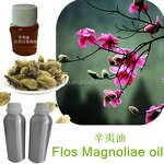 Magnolia Essential Oil Factory - Therapeutic Grade 100% Pure Natural Lightening Tea Tree Flower