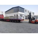 Hemp Seed Oil Manufacturer - Pure Natural Carrier Oil Cold Pressed for Body Massage Omega-3