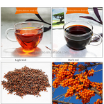 Seabuckthorn Seed Oil Manufacturer - Topical Therapeutic Grade High Quality for Skin Use