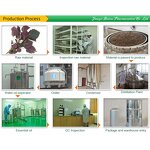 Perilla Leaf Essential Oil Manufacturer - Premium Therapeutic Grade 100% Pure Natural Steam-Distilled