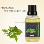 Spearmint Essential Oil Factory - Essential Oil Wholesale Premium Refreshing 100% Pure Natural
