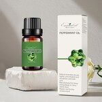 Peppermint Oil Factory - Bulk Price Cosmetic Grade Pure Nature Steam Distillation for Sale