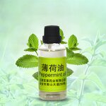 Peppermint Oil Supplier - Best Selling Bulk for Hair Diffuser Air Purifying Essential Fragrance