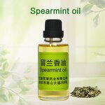Spearmint Essential Oil Factory - Essential Oil Wholesale Premium Refreshing 100% Pure Natural