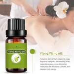 Osmanthus Ylang Ylang Essential Oil Supplier - Pure Natural for Aromatherapy & Perfumery