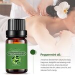 Peppermint Essential Oil Manufacturer - 100% Nature for Cosmetic Skin and Hair Care