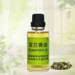 Spearmint Essential Oil Factory - Essential Oil Wholesale Premium Refreshing 100% Pure Natural