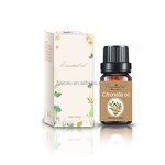 Ginger Essential Oil Supplier - 100% Pure Organic Natural Steam Distilled Bulk Wholesale Price
